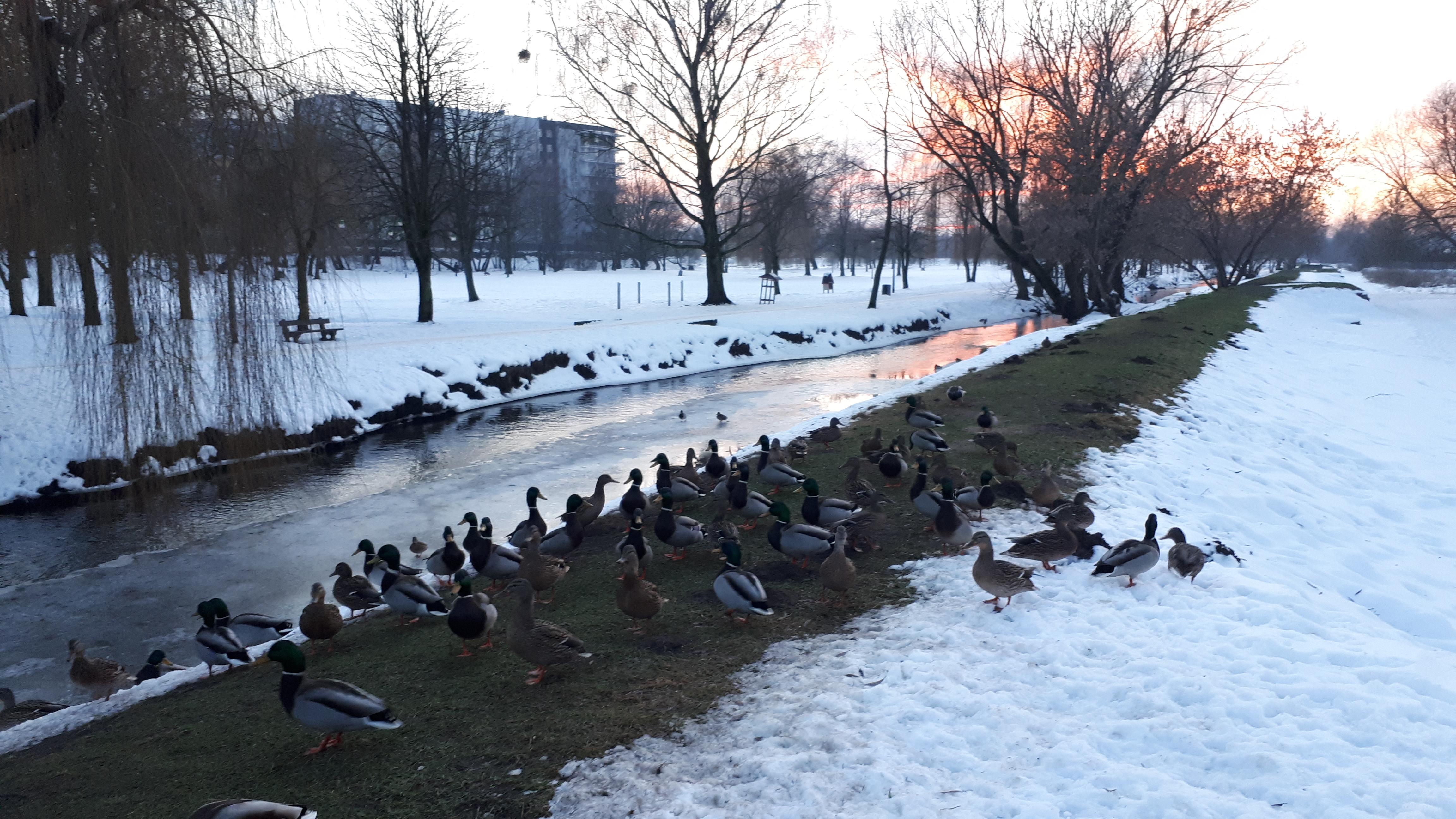 Park Antoniuk