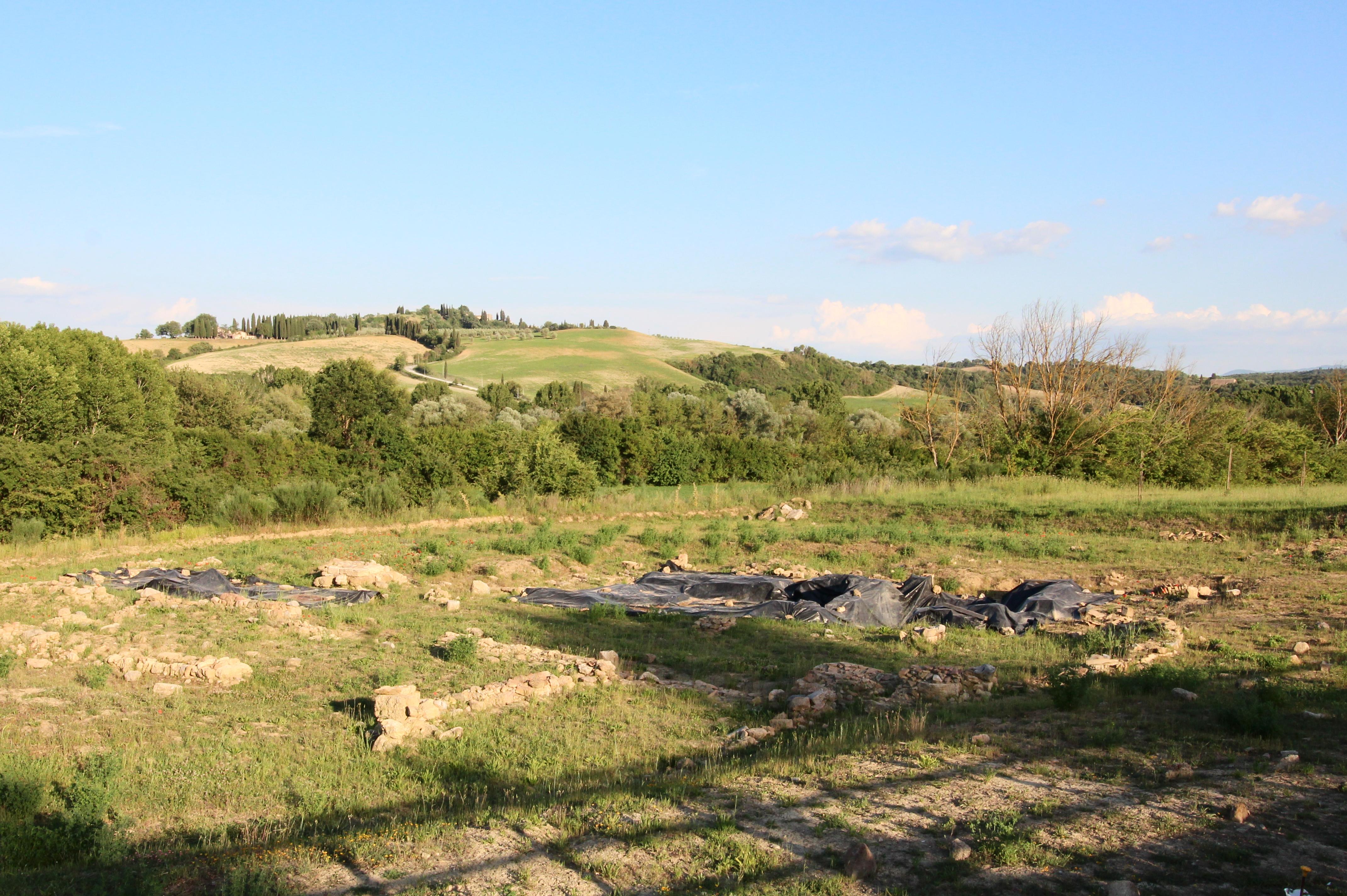 Sito Archeologico della Pieve di San Pietro a Pava