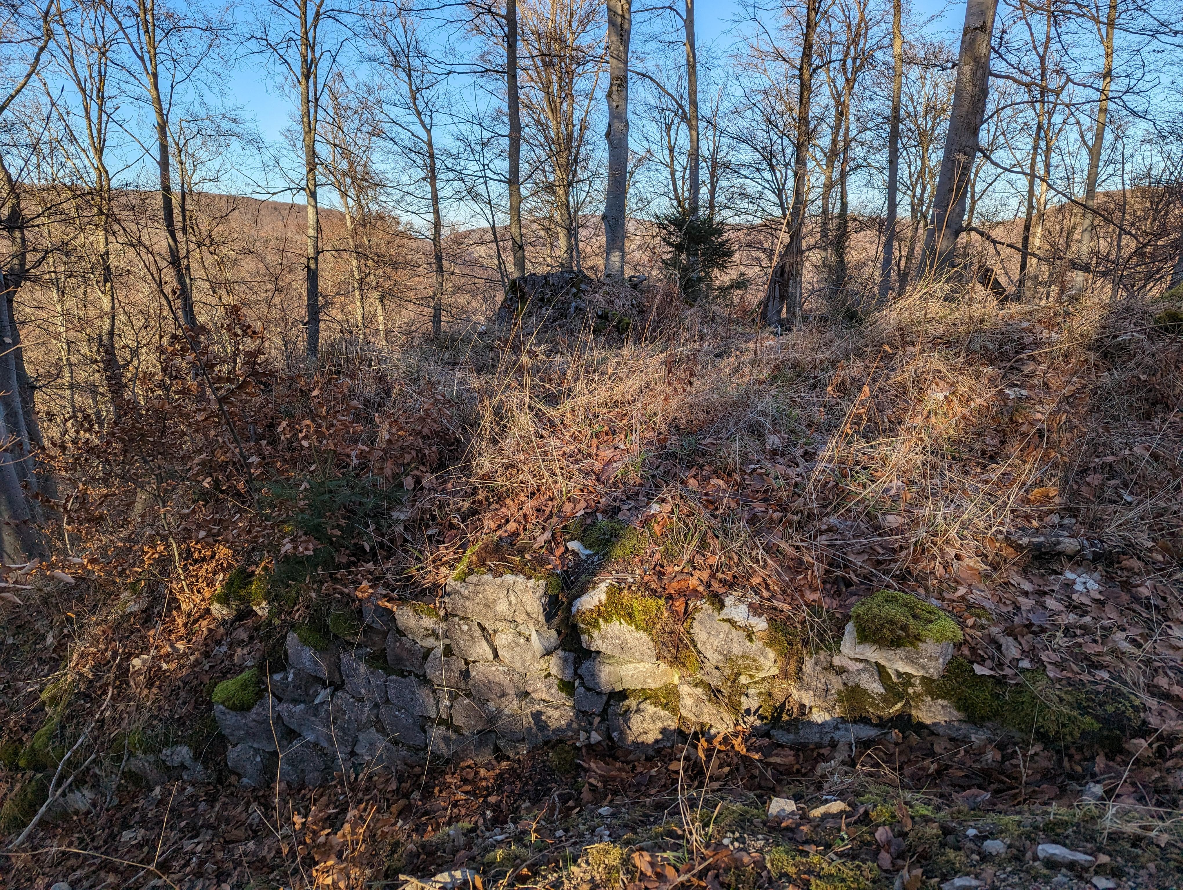 Burgruine Leimburg