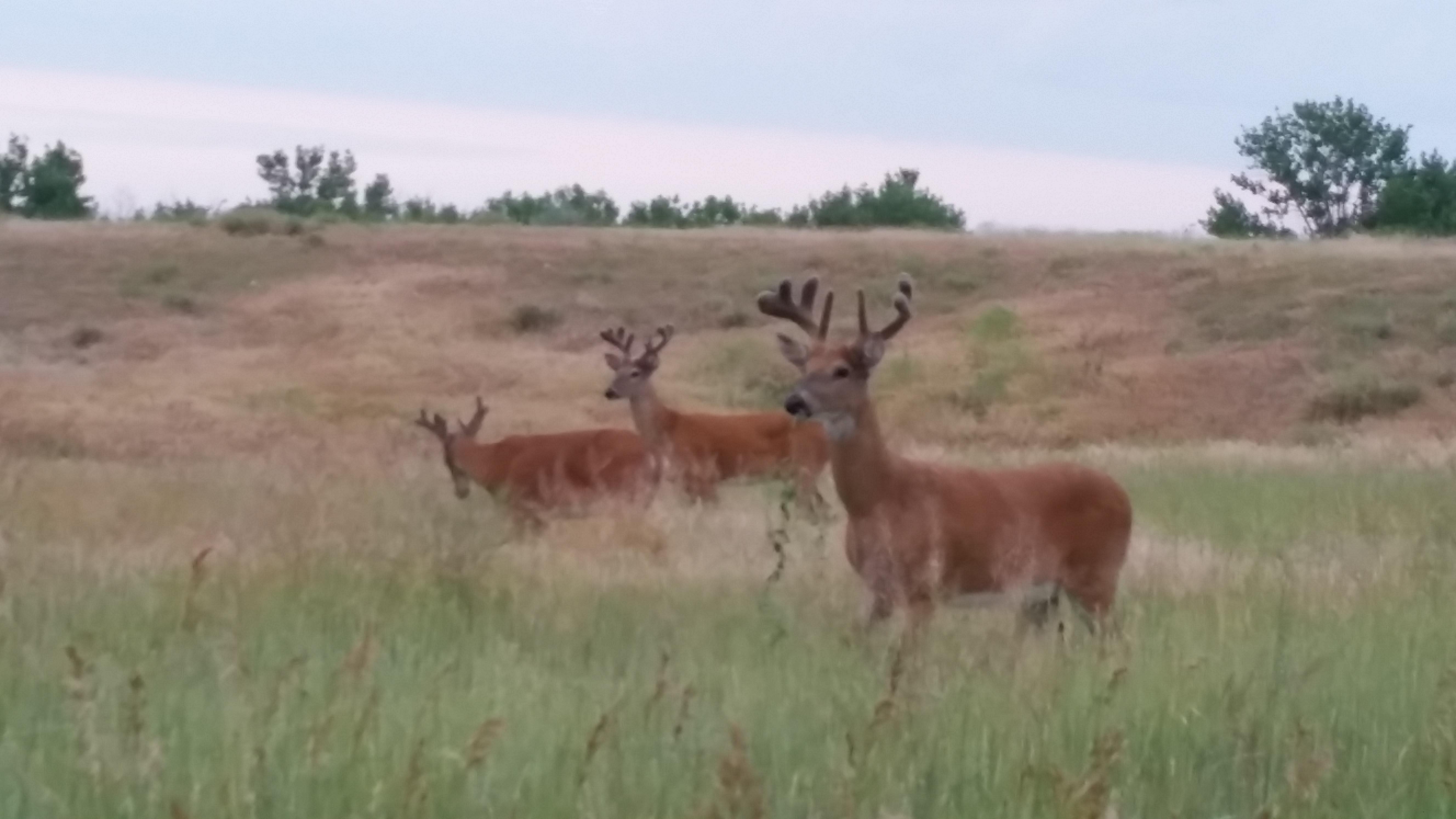 Cherry Creek State Park