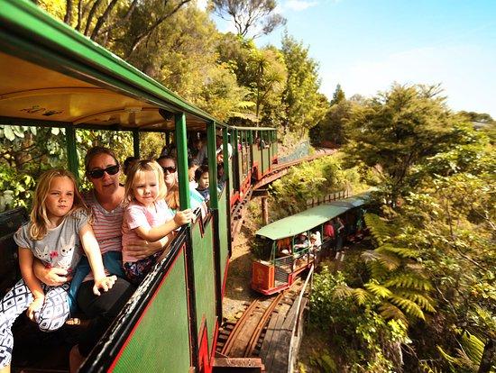 Driving Creek Railway and Potteries