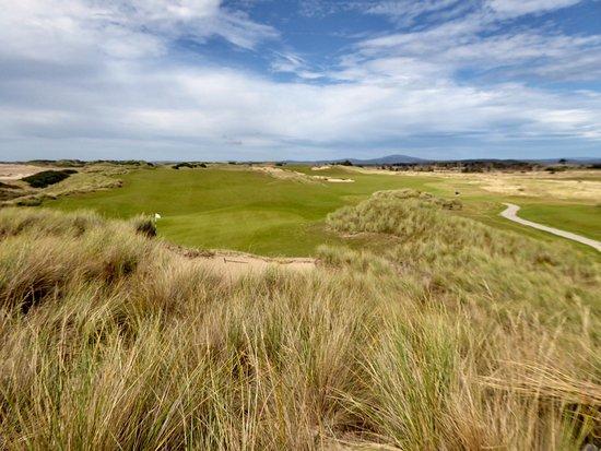 Barnbougle Dunes