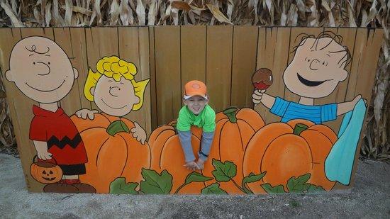 Goebbert's Pumpkin and Farm Mkt