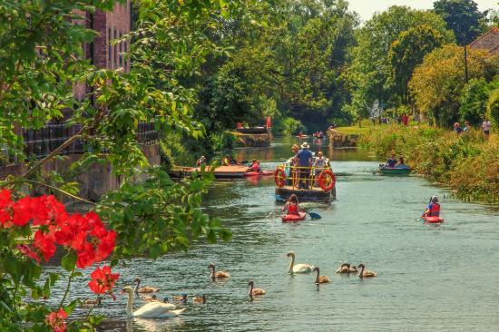 Chichester Canal Trust