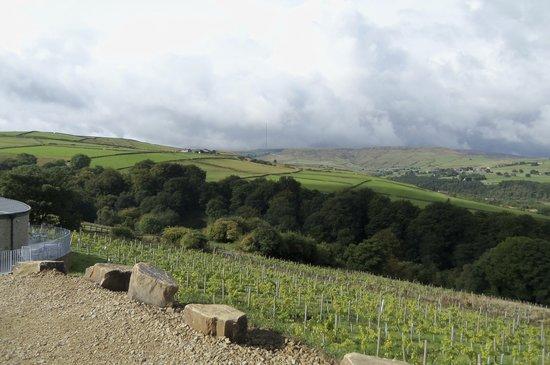 Holmfirth Vineyard