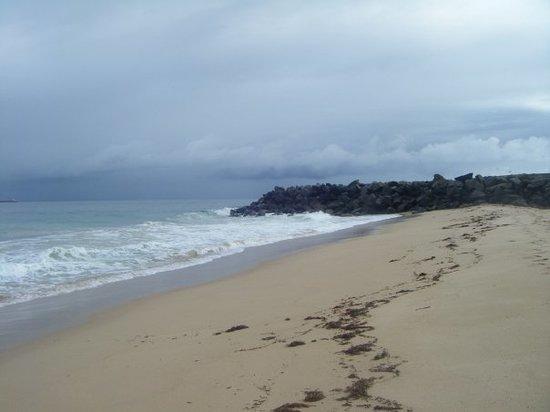 Halls Head Beach