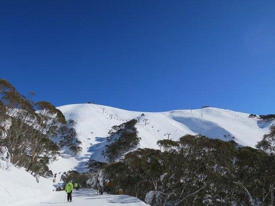 Mount Hotham Alpine Resort