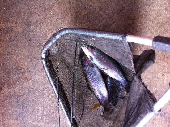 Tuki Trout Farm
