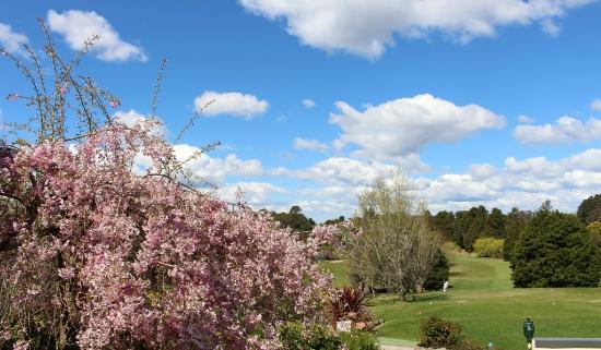 Wentworth Falls Country Club