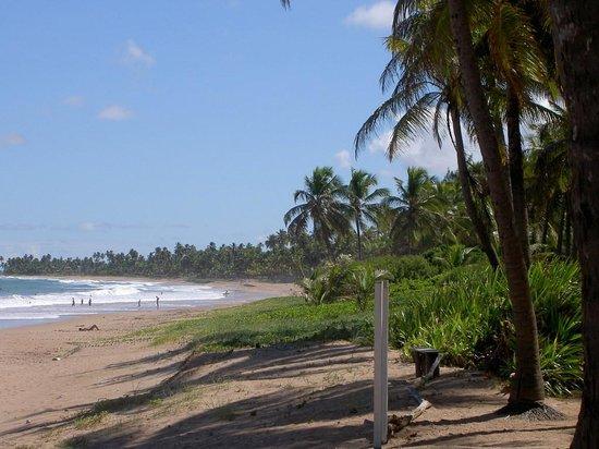 Praia de Busca Vida