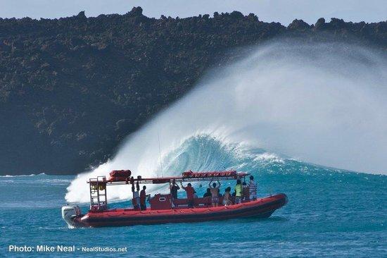 Redline Rafting