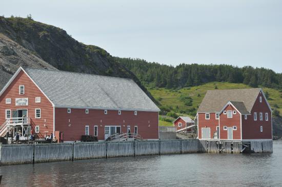 Rising Tide Theatre