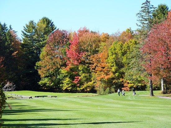 St. Jerome Golf Courses