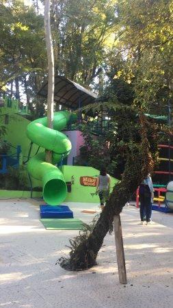 Parque MikeWood