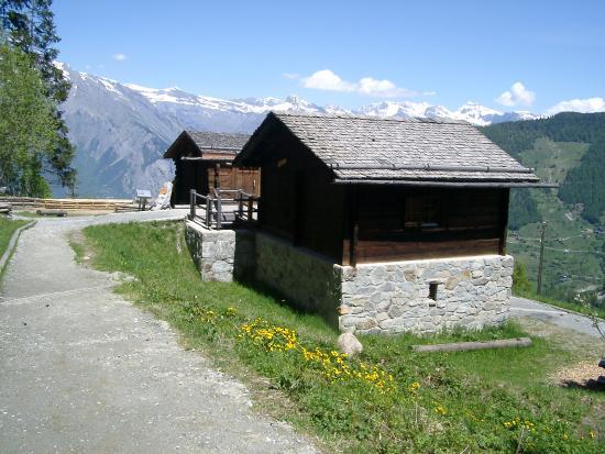La Maison de la Foret