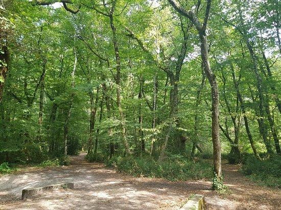 Théâtre des Quatre Saisons