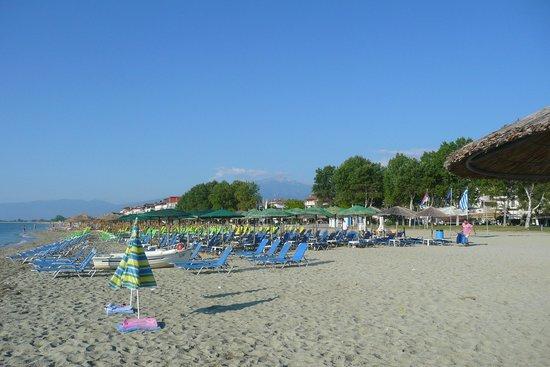Olympic Beach
