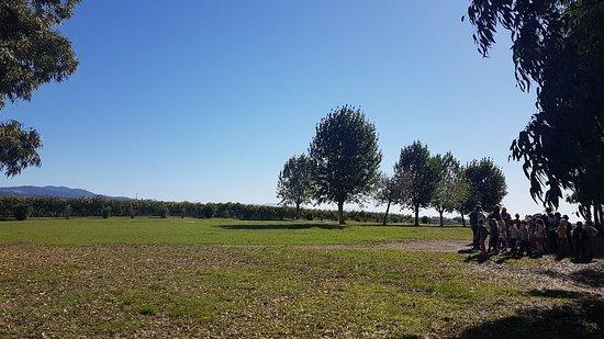 Donnardea, cantina vigneti e giardini