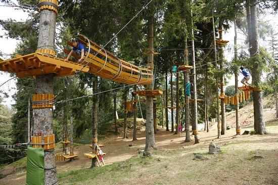 Parco Avventura