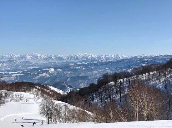Nozawa Onsen Snow Resort