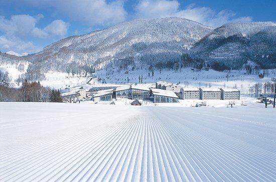 Tangram Ski Circus