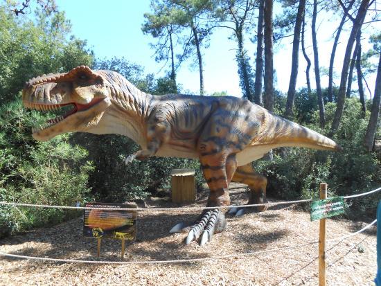 Dino's Park SARL