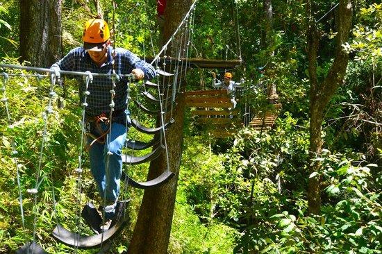 Bosque La Mexicana