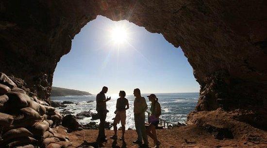 Point of Human Origins
