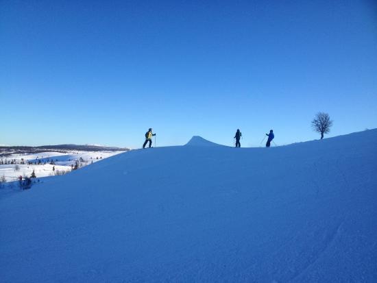 Vaset Skiheiser