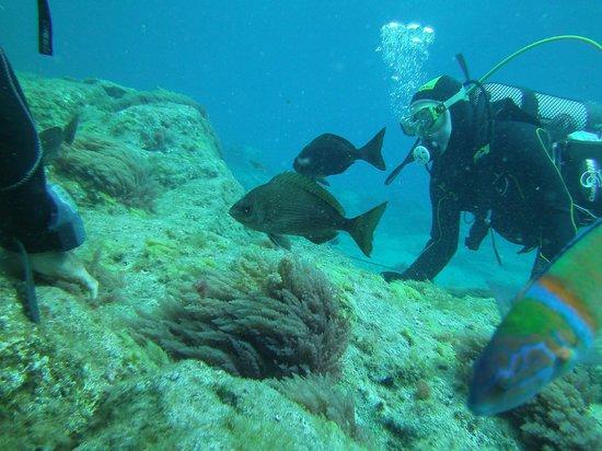 Buceo Tenerife