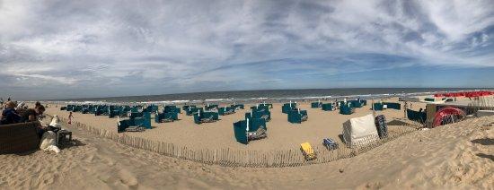 Hondenstrand Noordwijk