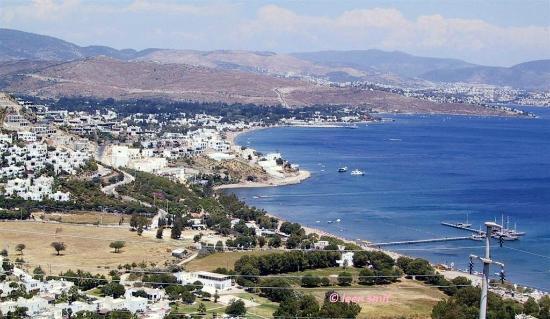 Yahsi strand