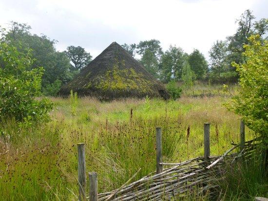 Archaeolink Prehistory Park