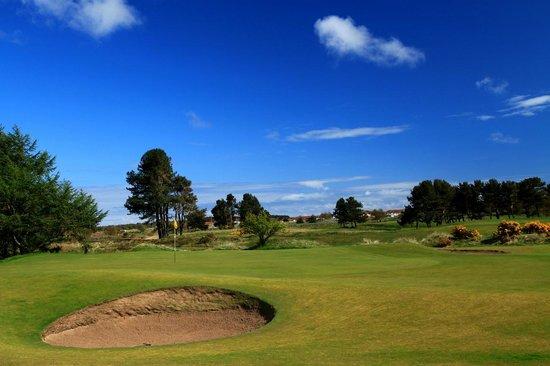 Monifieth Golf Links