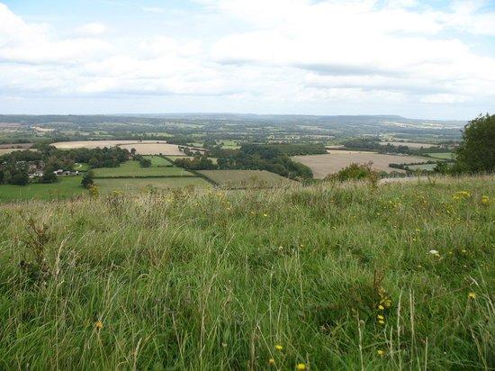 South Downs Way National Trail