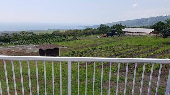 Bay View Farms