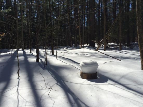 Catamount Outdoor Family Center
