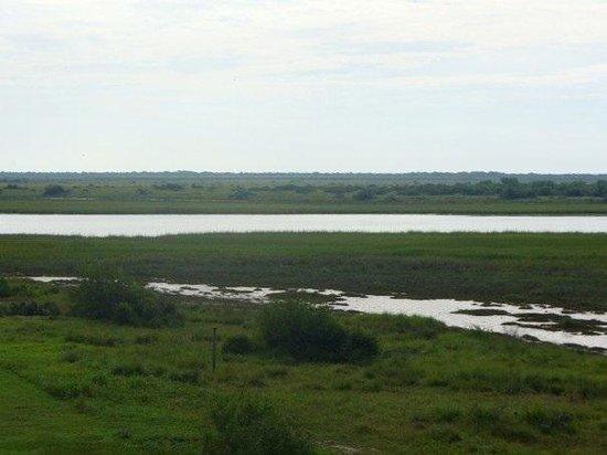 Clive Runnells Family Mad Island Marsh Preserve