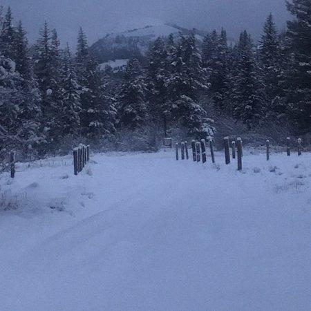 Dog Creek Trail