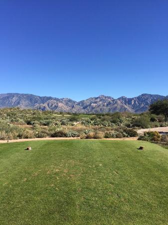 Golf Club at Vistoso
