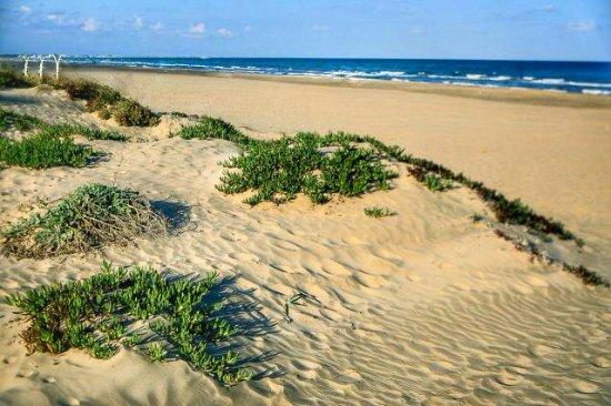 Playa De Canet