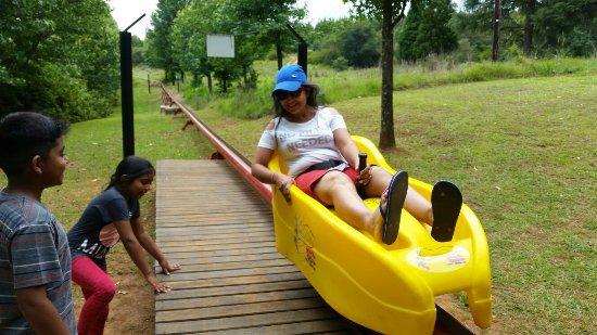 Long Tom Toboggan at Misty Mountain