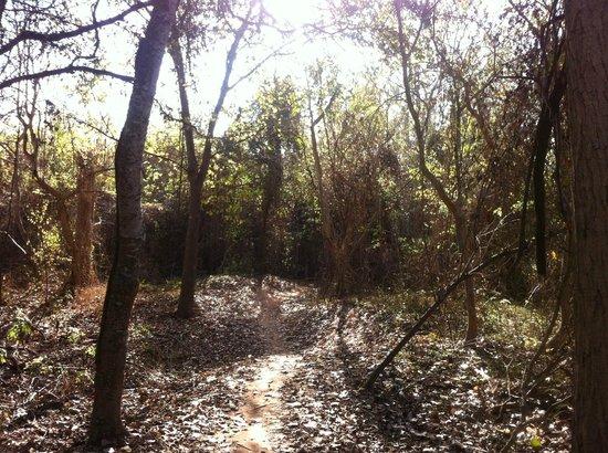 Justin P. Brindley Trail