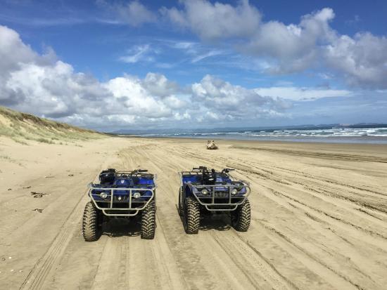 Ahipara Adventure