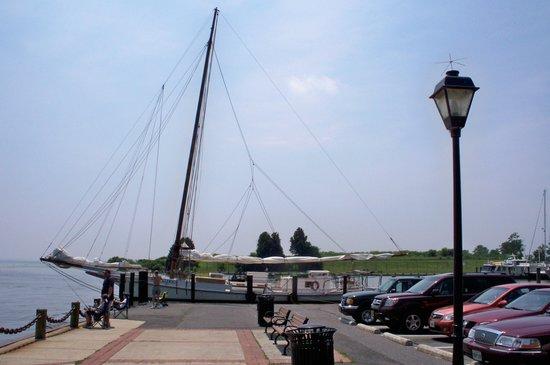 Skipjack Martha Lewis