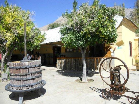 Los Nichos Winery