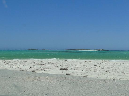 Tarcoola Beach