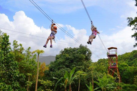 Rainforest Zipline Park