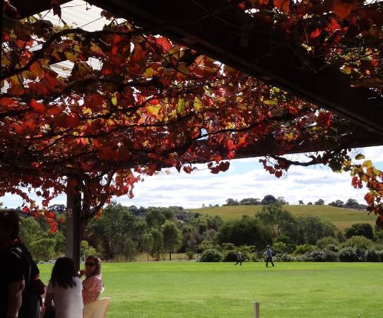 McLaren Vale and Fleurieu Visitor Information Centre
