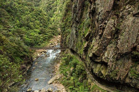 Karangahake Windows Walk